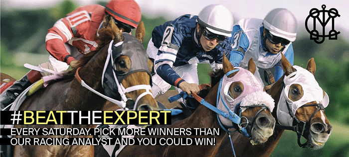 Beat The Expert