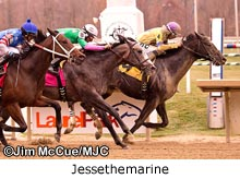 Jessethemarine taking the 2013 James F. Lewis Stakes at Laurel Parl