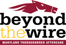 Beyond-The-Wire-Mayland-Thoroughbred-Aftercare-logo-1