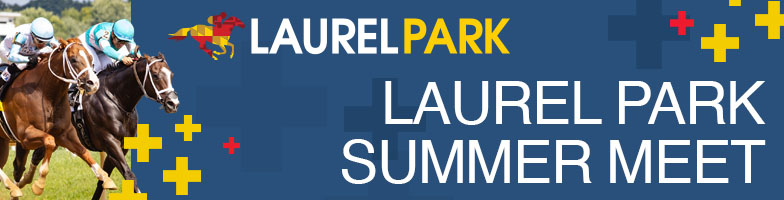 LP-Summer_Meet-2025-MJC_Assets784x200px - Upcoming Events