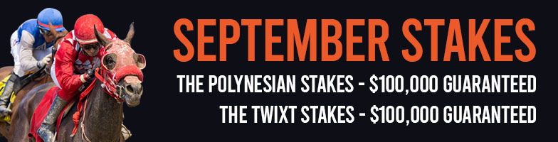 LP-Sep_Stakes-2025-MJC_Assets784x200px - Upcoming Events 2