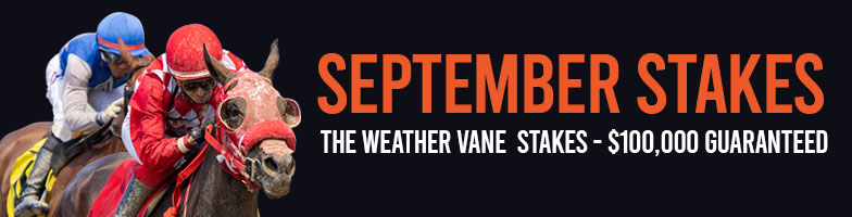 LP-Sep_Stakes-2025-SEP20-MJC_Assets784x200px - Upcoming Events