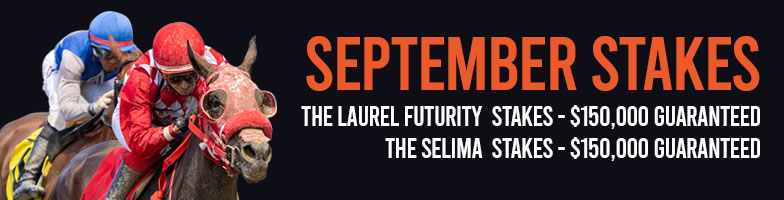 LP-Sep_Stakes-2025-SEP27-MJC_Assets784x200px - Upcoming Events