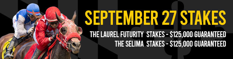 LP-Sep_Stakes-2025-SEP27-MJC_Assets784x200px - Upcoming Events(1)