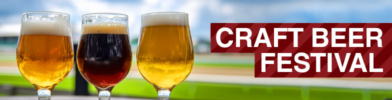 LP-Craft_Beer_Festival-2025-MJC_Assets784x200px - Upcoming Events