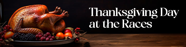 LP-Thanksgiving_Day-2025-MJC_Assets784x200px - Upcoming Events