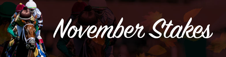LP-Nov_Stakes-2025-MJC_Assets784x200px - Upcoming Events