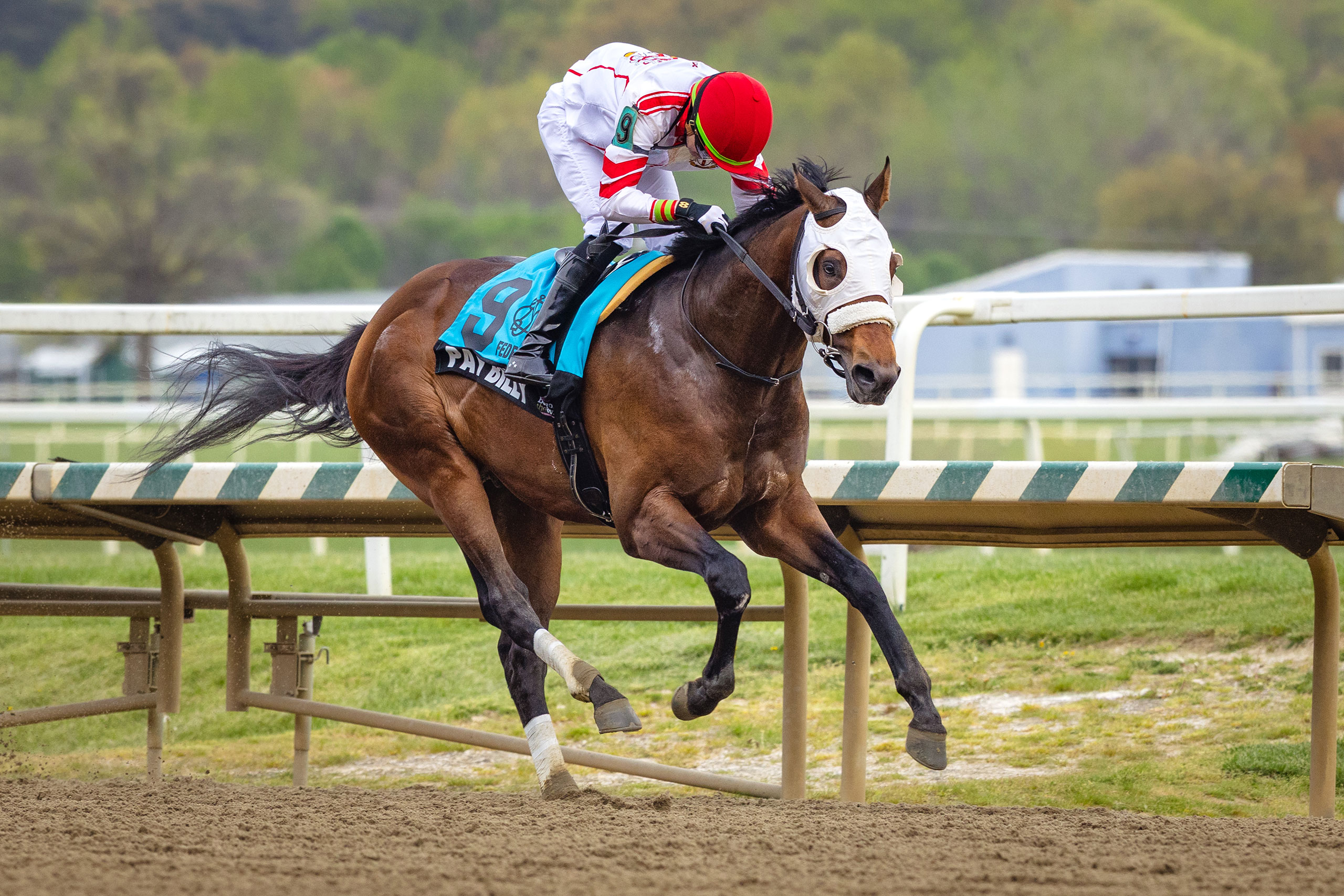 PreaknessPreview-BW-041925-48