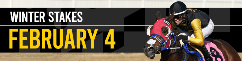 LP-Jan_Stakes-2026-FEB4-Makeup_Date-MJC_Assets784x200px - Upcoming Events