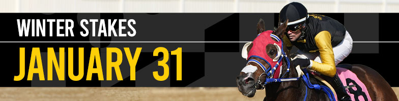 LP-Jan_Stakes-2026-JAN31-MJC_Assets784x200px - Upcoming Events(1)