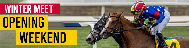 LP-Jan_Stakes-2026-Opening_Weekend-MJC_Assets784x200px - Upcoming Events