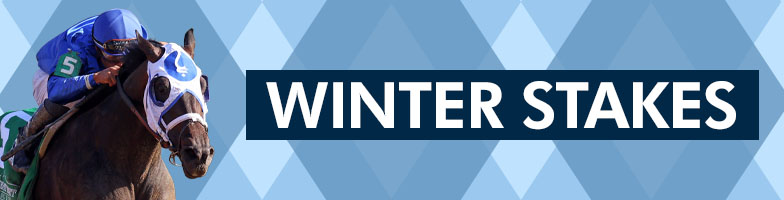 LP-Feb_Stakes-2026-FEB21-MJC_Assets784x200px - Upcoming Events