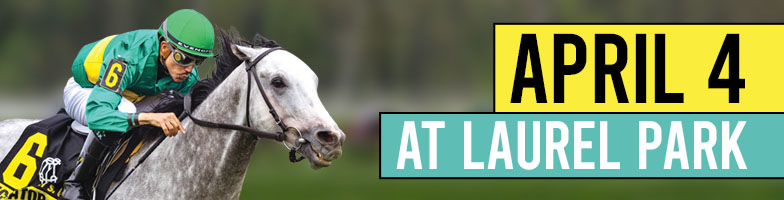 LP-April_Stakes-2026-MJC_Assets784x200px - Upcoming Events