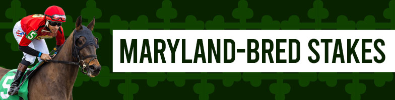 LP-Mar_Stakes-2026-MAR21-MJC_Assets784x200px - Upcoming Events