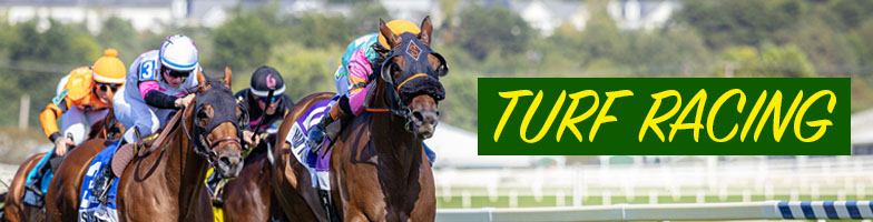 LP-Racing-Turf-Evergreen-MJC_Assets784x200px - Upcoming Events