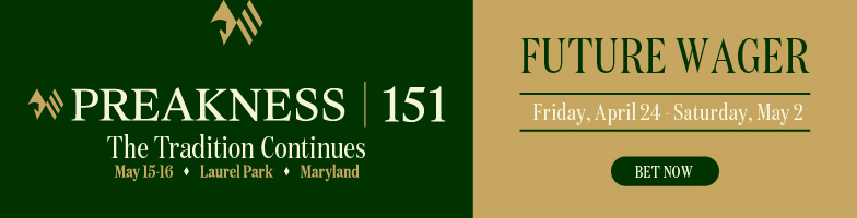 P151_Future Wager Ads_784x200