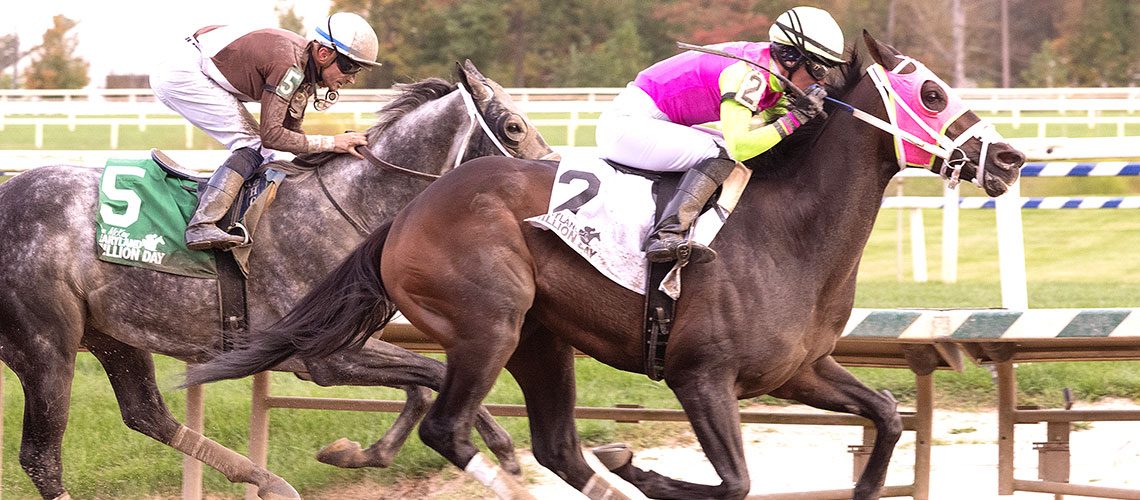 Barbadian-Runner,-Post-Time-0