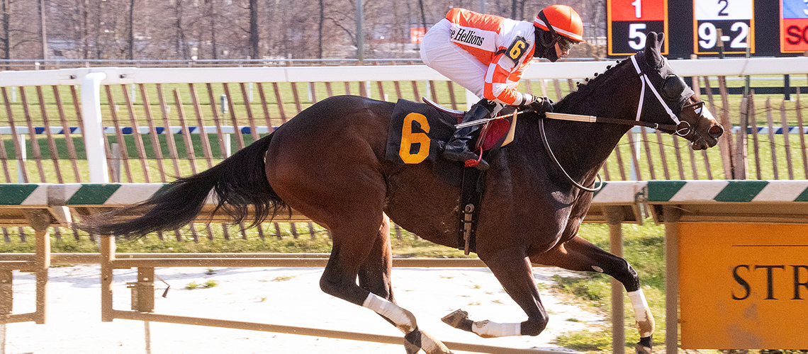 Dontletsweetfoolya-Primonetta