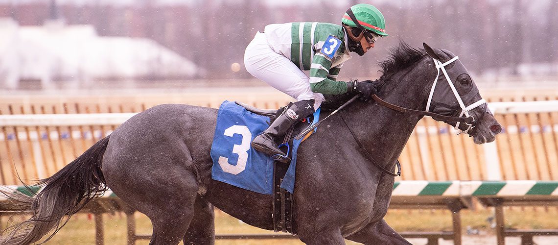 Grayson's-Girl-2-22-26