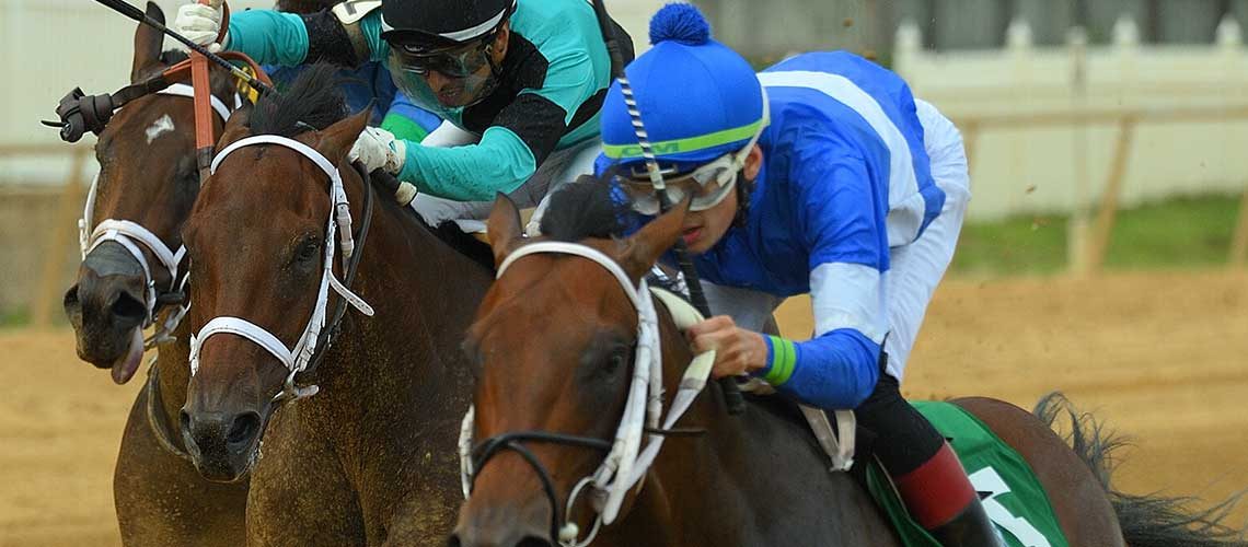 Old-Homestead-stretch