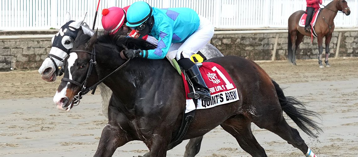 Quint's-Brew,-Blue-Kingdom