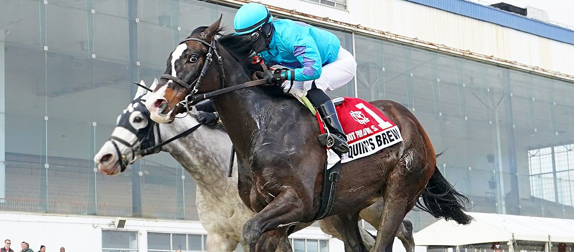 QuintsBrewNotForLoveStakes