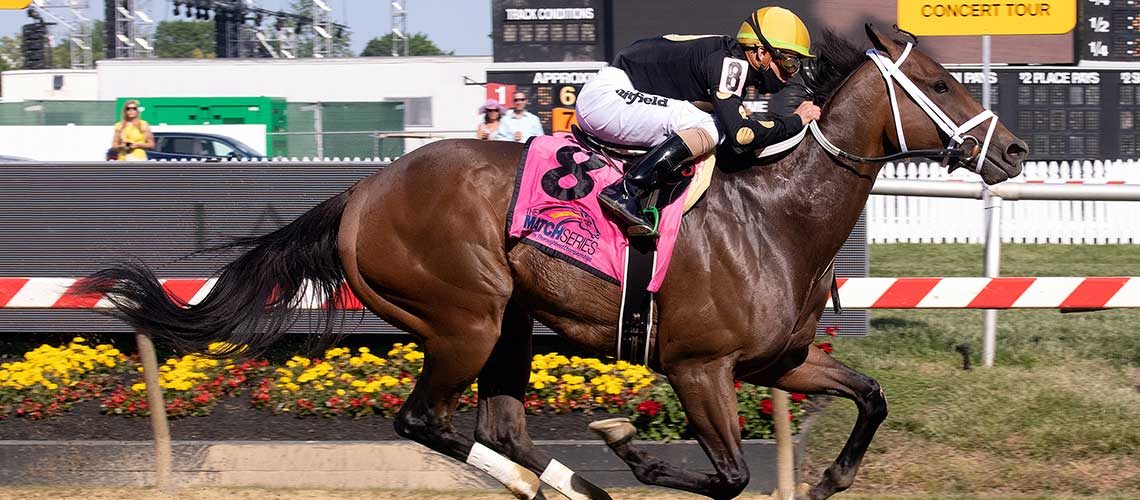 Special Reserve Making Season Debut in De Francis Dash - Maryland Jockey  Club