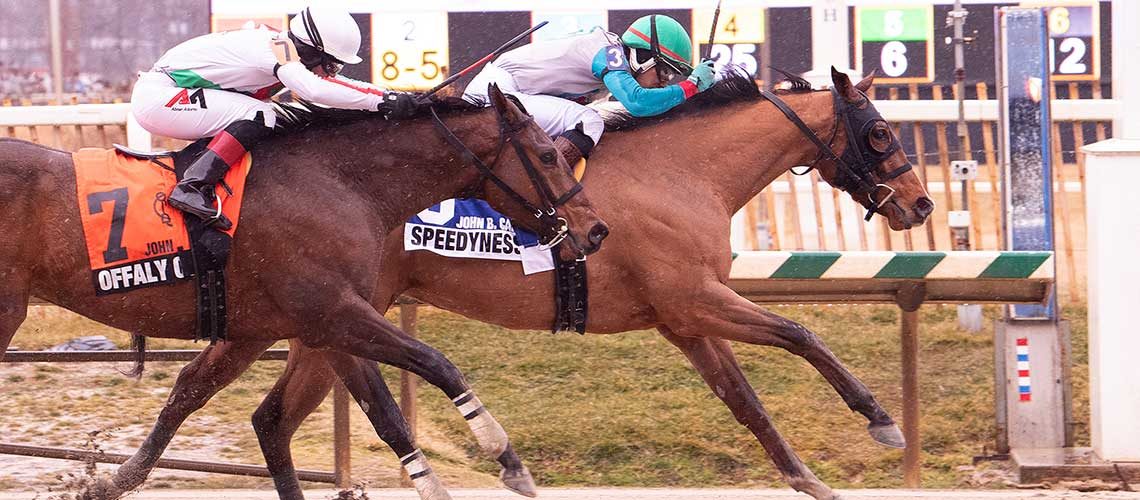 Speedyness(3)