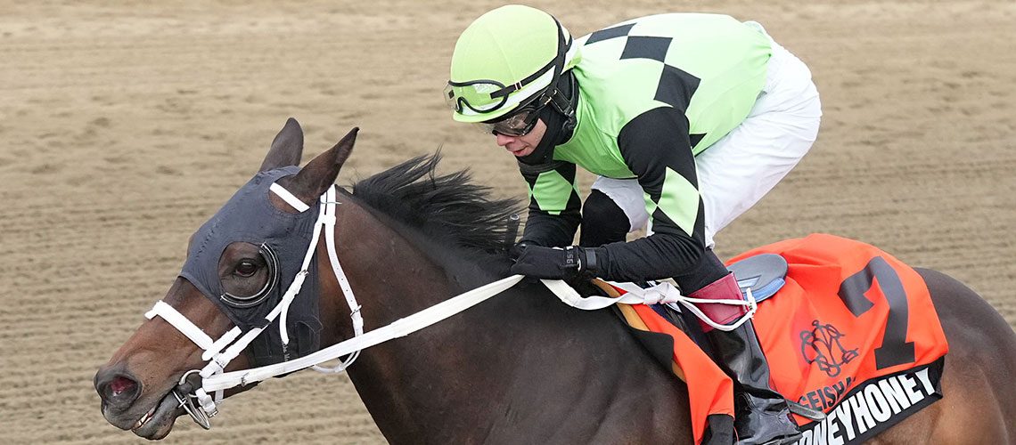 Takethemoneyhoney-26