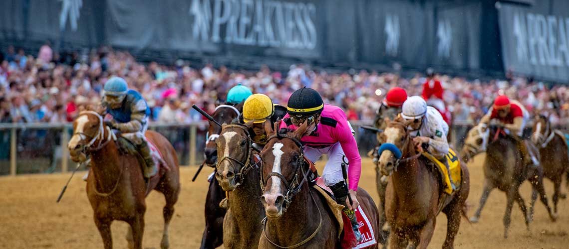 War-of-Will-Preakness-2-1140x500