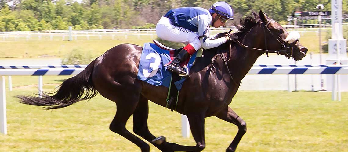 Whispurring-Kitten-7.3.22