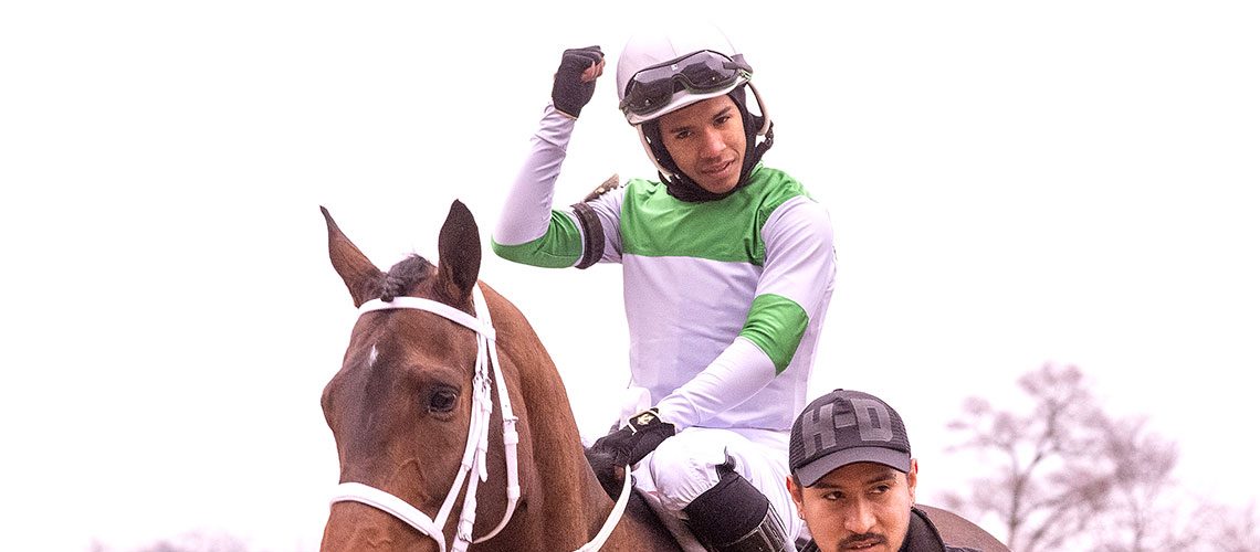 Yedsit-Hazlewood-100th-win