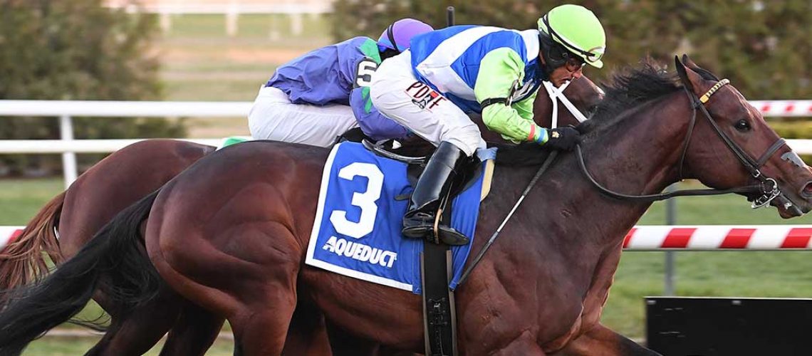 arrest-me-red-the-aqueduct-turf-sprint