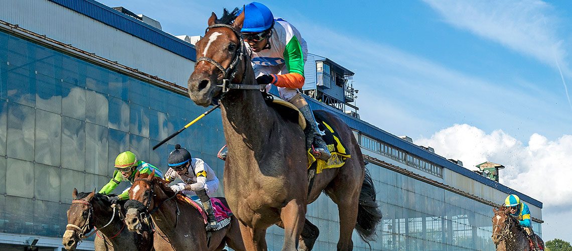 pascaline-2024-laurel-futurity-0