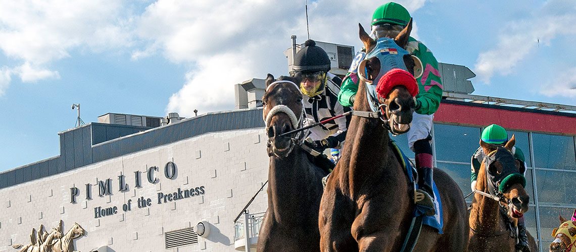 pimlico-preakness-first-turn